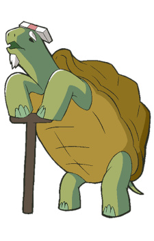 Директор Черепаха / President Turtle