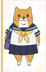 Shibainuko-san